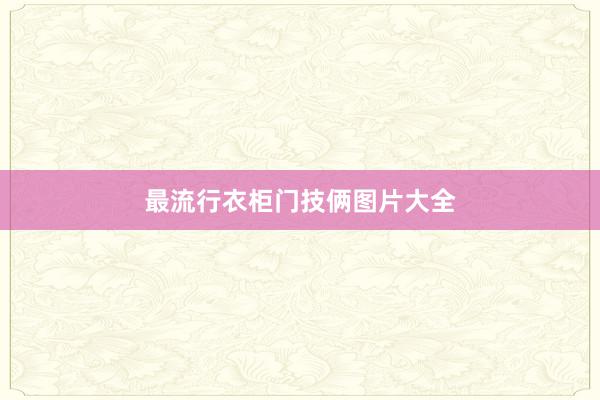 最流行衣柜门技俩图片大全