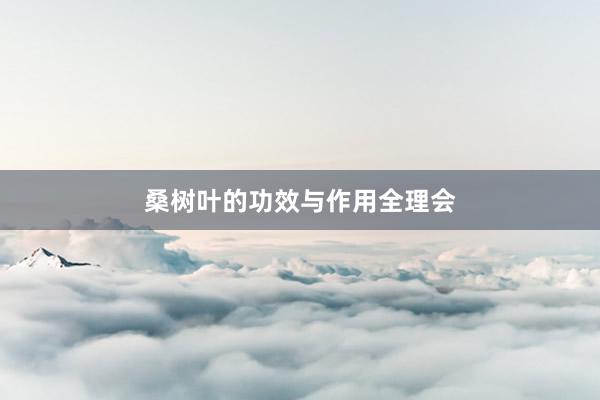 桑树叶的功效与作用全理会